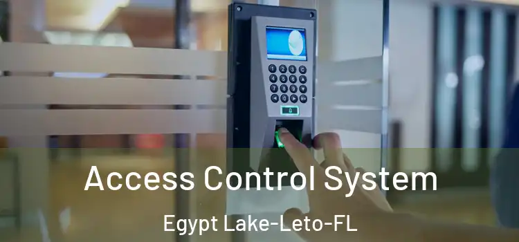  Access Control System Egypt Lake-Leto-FL