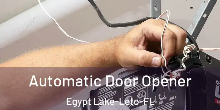  Automatic Door Opener Egypt Lake-Leto-FL
