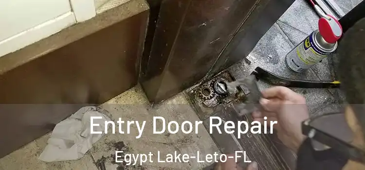  Entry Door Repair Egypt Lake-Leto-FL