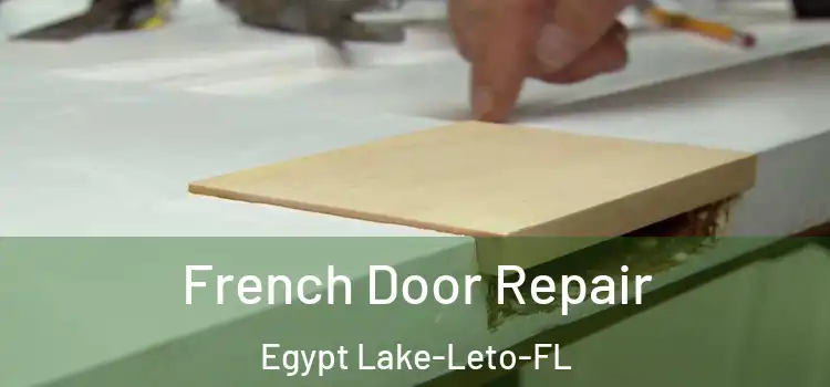  French Door Repair Egypt Lake-Leto-FL