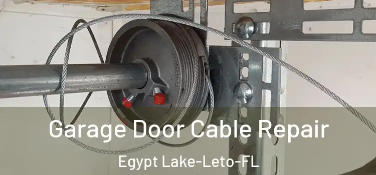  Garage Door Cable Repair Egypt Lake-Leto-FL