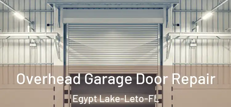  Overhead Garage Door Repair Egypt Lake-Leto-FL