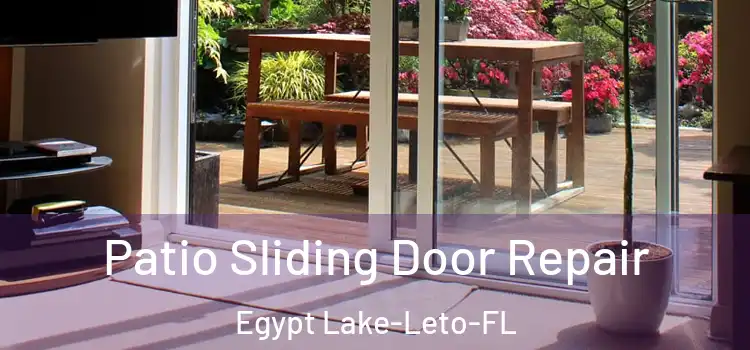  Patio Sliding Door Repair Egypt Lake-Leto-FL