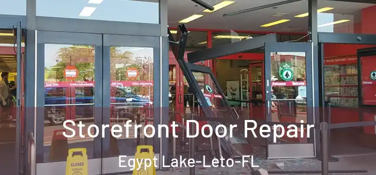  Storefront Door Repair Egypt Lake-Leto-FL