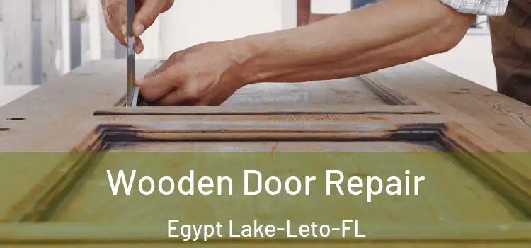  Wooden Door Repair Egypt Lake-Leto-FL